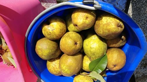 1100 Eunice Ave, Joliet IL 60433-8517 exterior