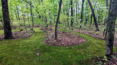 87 Baseline Rd, Plainwell MI 49080-9549 exterior