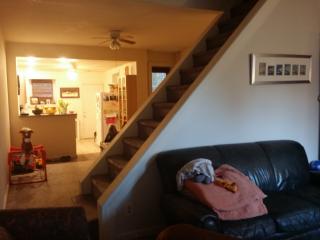 4084 Pechin St, Philadelphia PA  19128-3628 exterior