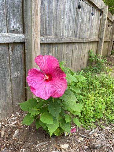 9016 Mount Vernon Ave, Milwaukee WI  53226-4542 exterior