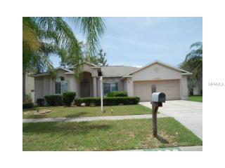 11028 Sailbrooke Dr, Riverview, FL 33579-4036