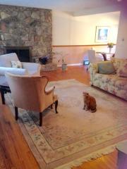 95 Pinecrest Ter, Wayne, NJ 07470-5158