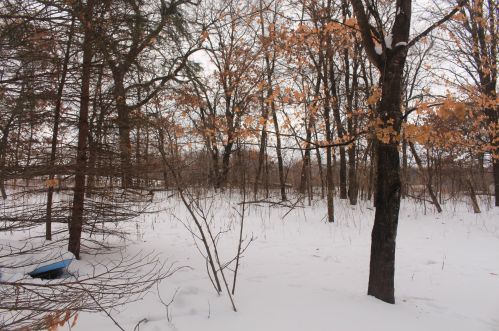 27539 104th St, Zimmerman MN 55398-4662 exterior