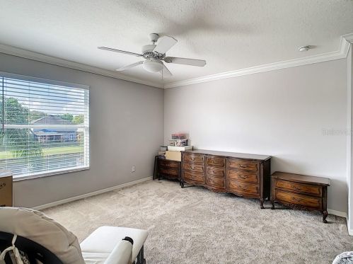 11429 Dutch Iris Dr, Riverview FL 33578-3728 exterior