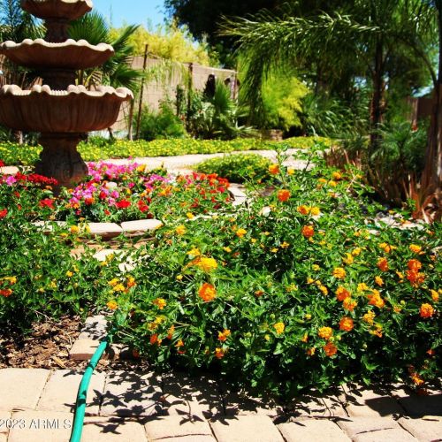 4102 Scorpio Pl, Chandler AZ 85249-5845 exterior