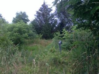 3048 32nd St, Grand Rapids, MI 49512-1735