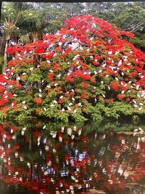 5096 Kinswood Rd, Boynton Beach FL 33437-1304 exterior