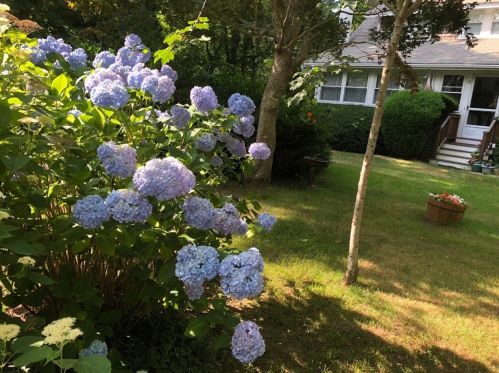 15 Seaview Rd, Eastham MA 02642-2531 exterior