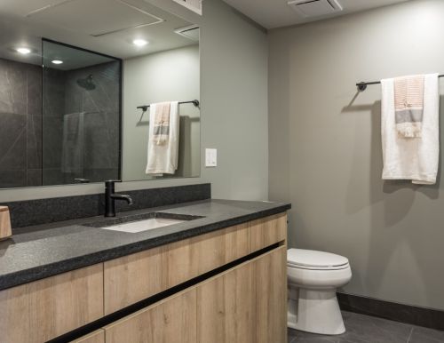 729 Sangamon St, Chicago IL  60642-5955 exterior