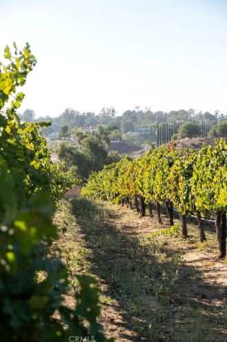 38330 De Portola Rd, Temecula CA 92592-8833 exterior