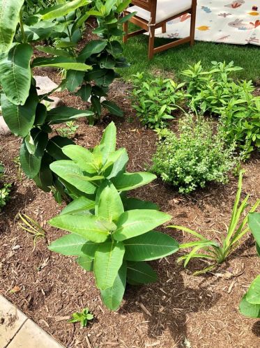 6211 Greenview Ave, Chicago IL  60660-1822 exterior