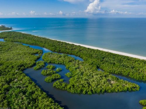 1001 Arbor Lake Dr, Naples FL 34110-7038 exterior