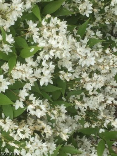 26 Harvard St, Montclair NJ 07042-5028 exterior