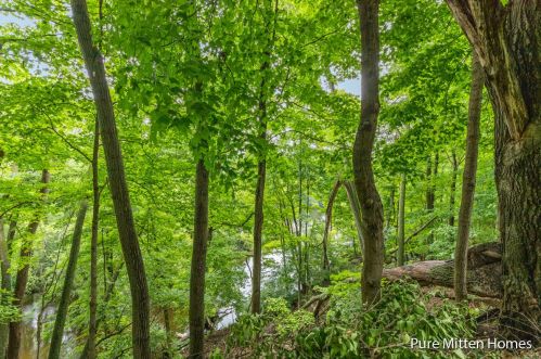 714 State St, Belding MI  48809-9214 exterior