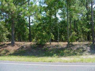 1333 Hillmon Grove Rd, Cameron, NC 28326-8763