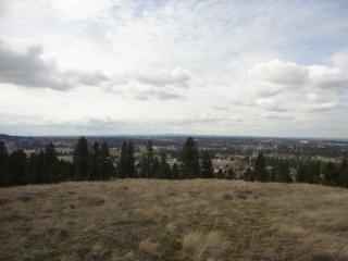 6605 25th Ave, Spokane, WA 99223-2317