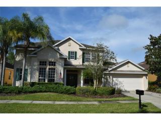 16112 Brecon Palms Pl, Tampa, FL 33647-5123