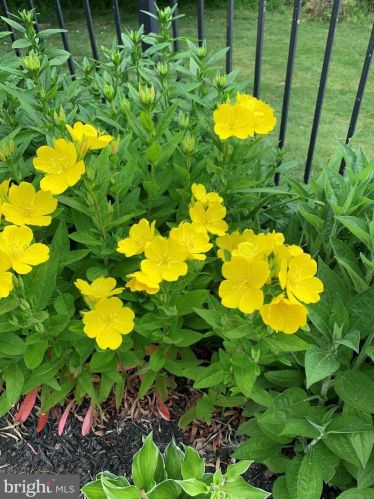 112 Parkview Cir, Media PA 19063-6317 exterior