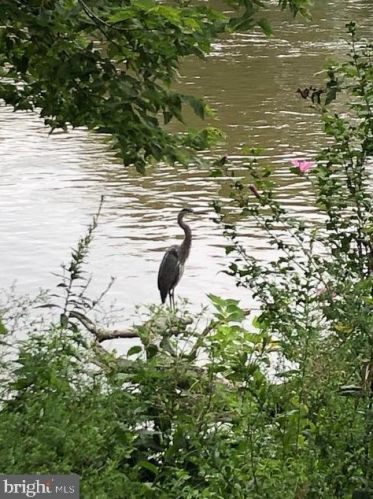 1708 Riverside Dr, Trenton NJ 08618-5843 exterior