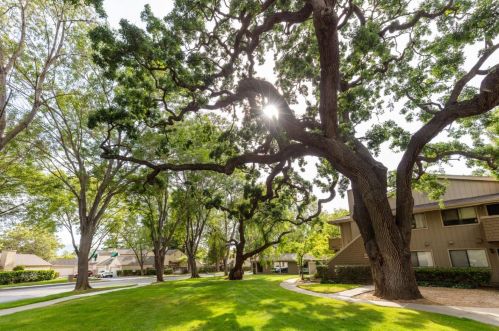 5595 Makati Cir, San Jose CA 95123-6236 exterior