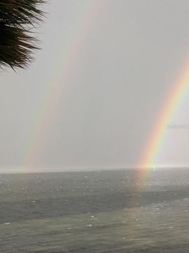 4950 Bayshore Blvd, Tampa FL 33611-3803 exterior