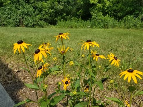 7817 Vly Hl Rd, Bull Valley IL 60098-7885 exterior