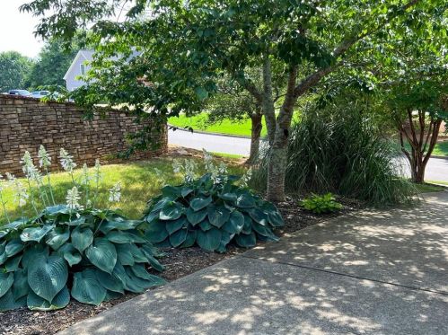 8690 Stone Riv Dr, Gainesville GA 30506-4854 exterior