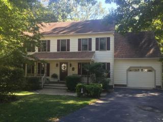 4601 Hill Spring Ter, Chester VA  23831-8015 exterior