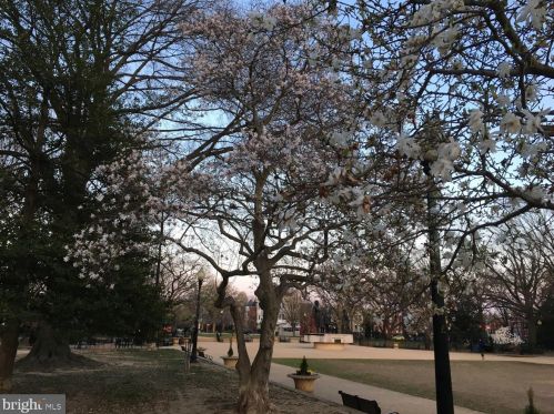 1312 Emerald St, Washington DC 20002-5431 exterior