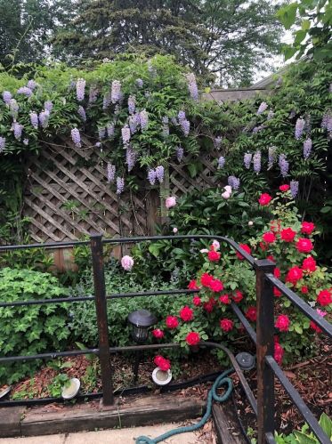 2152 Farragut Ave, Chicago IL 60625-1204 exterior