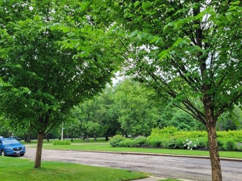 6722 Thorndale Ave, Chicago IL 60631-2286 exterior