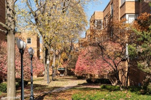 4935 Wolcott Ave, Chicago IL  60609-4850 exterior