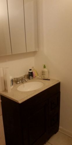 3336 Potomac Ave, Chicago IL 60651-1733 exterior