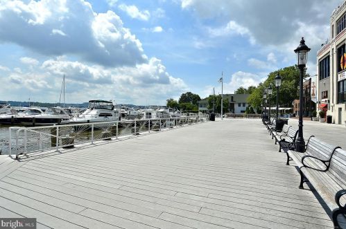 507 Pendleton St, Alexandria VA 22314-1903 exterior