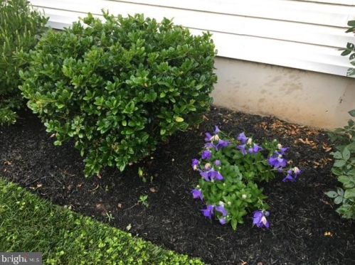 50 Steeplechase Cir, Chester PA 19014-1463 exterior