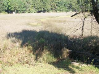 1536 Avalon Cir, Charleston, SC 29407-3616