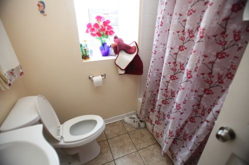 3939 Iowa St, Chicago IL 60651-3242 exterior