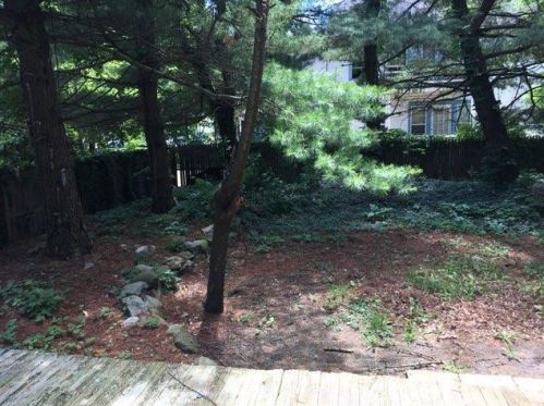 837 Lovell St, Kalamazoo MI 49007-4503 exterior