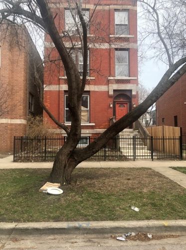 4333 Ellis Ave, Chicago IL  60653-3611 exterior