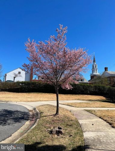 2302 Douglas Ct, Silver Spring, MD 20902-4757