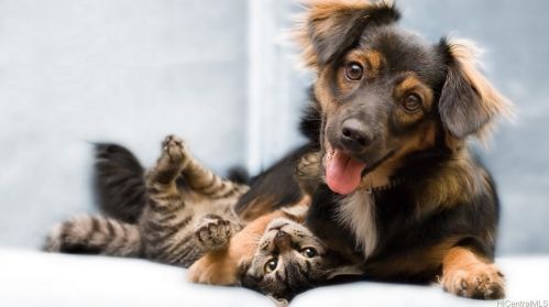 1020 Green St, Honolulu HI  96822-3619 exterior