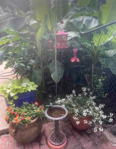 236 Howard St, Atlanta GA 30317-2418 exterior