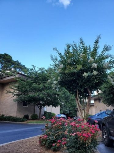 346 Carpenter Dr, Atlanta GA  30328-5021 exterior