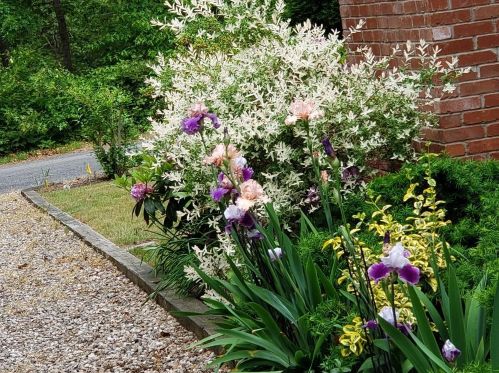 250 Candlewood Dr, Eastham MA 02642-2288 exterior