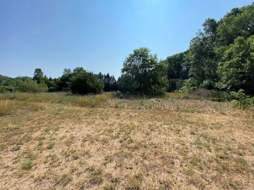 12710 Macclain Ct, Cedar Springs MI exterior