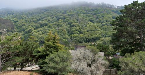 321 Durant Way, Mill Valley, CA 94941-4090