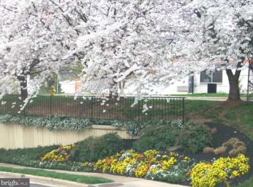 269 Pickett St, Alexandria VA 22304-4734 exterior