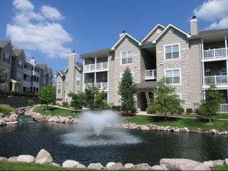 1895 Boulder Springs Dr, Saint Louis MO  63146-3937 exterior