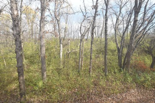 9012 70th St, Milwaukee WI  53223-2114 exterior