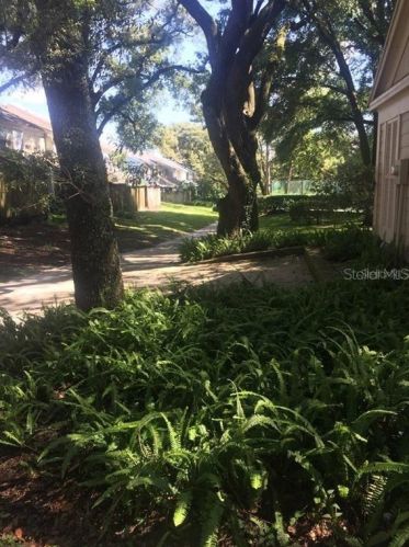 11313 Grandville Dr, Tampa FL 33617-2381 exterior